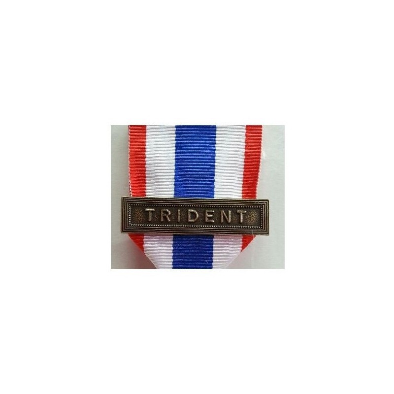 Agrafe pour Médaille "Protection Militaire du Territoire"